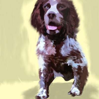 Brodie copy Brodie copy